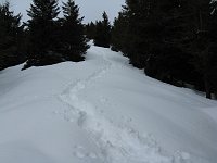 12  la nostra traccia  nella neve